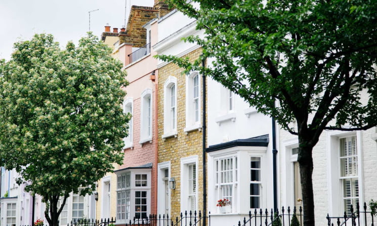 St Johns Wood